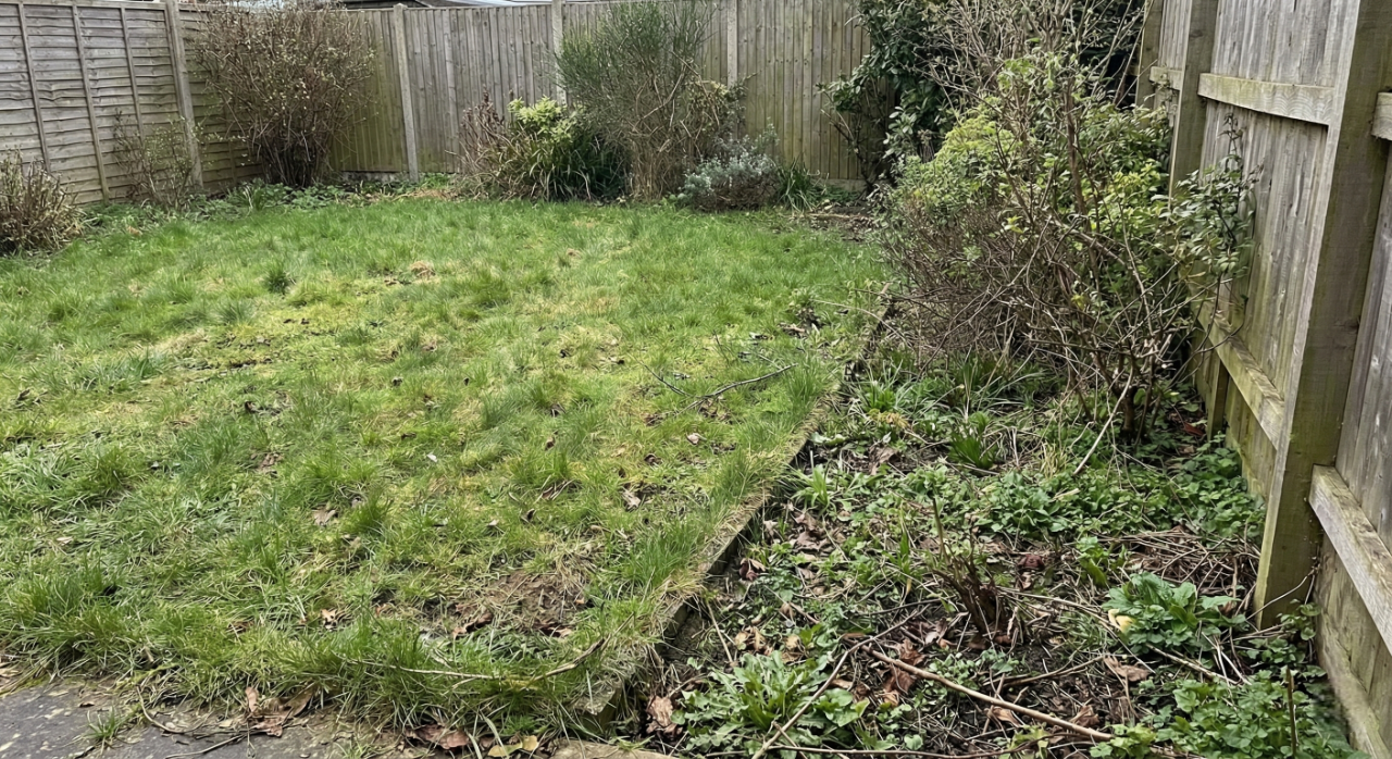 Verwilderter Garten vor der Pflege